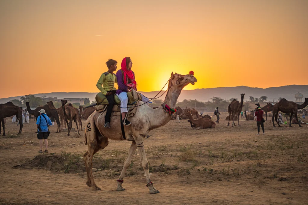 desert-view-in-rajasthan-with-apple-ramble