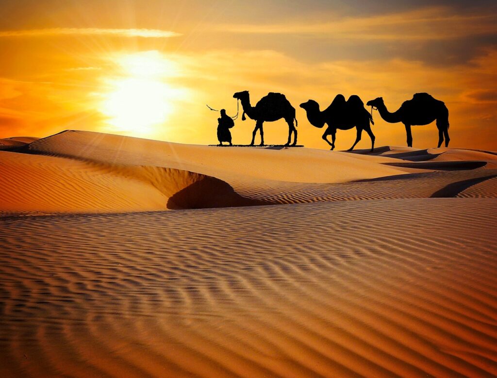 Rajasthan Desert Safari Tour